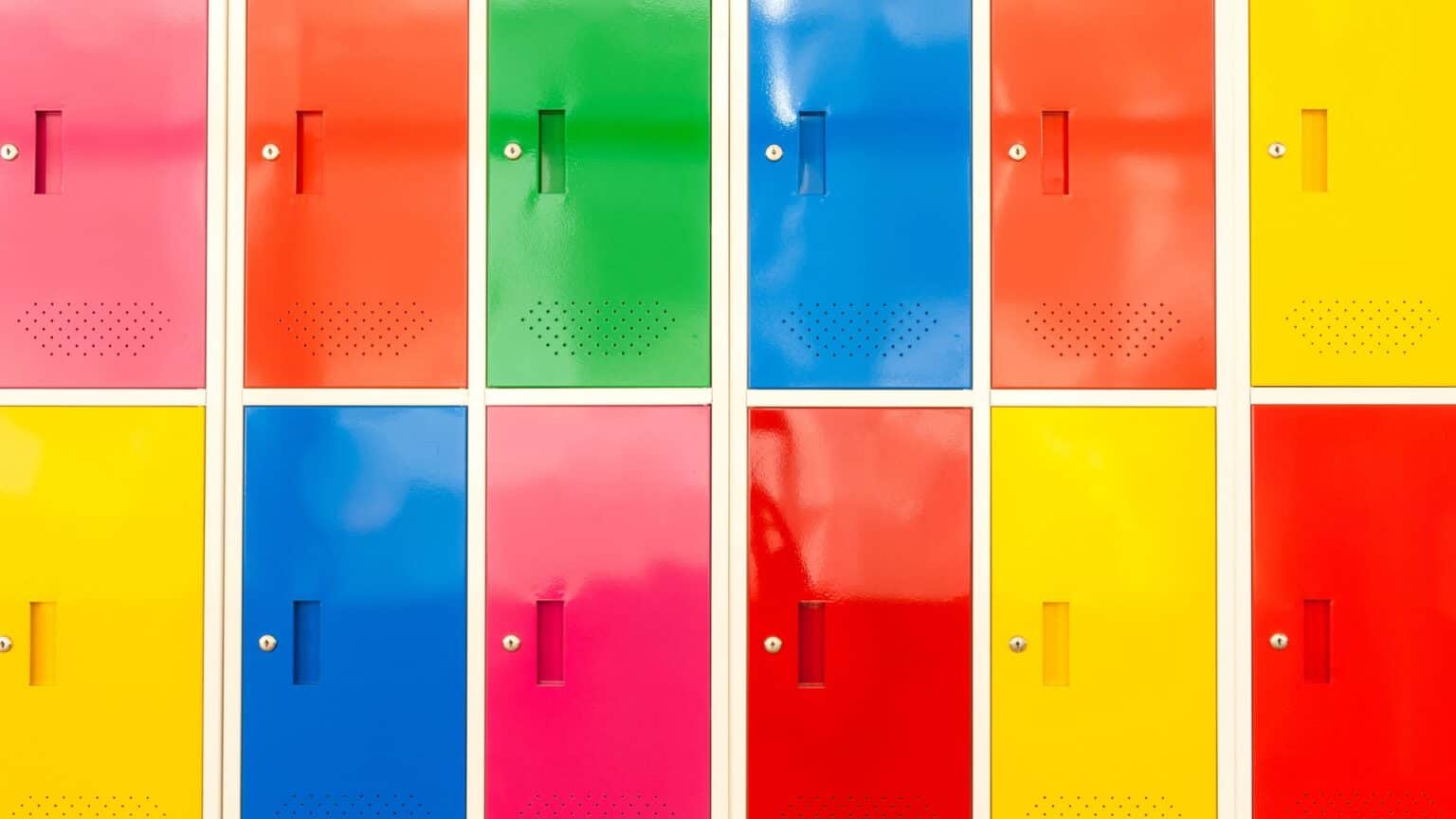 what-is-the-most-popular-colour-for-lockers-gym-constructor